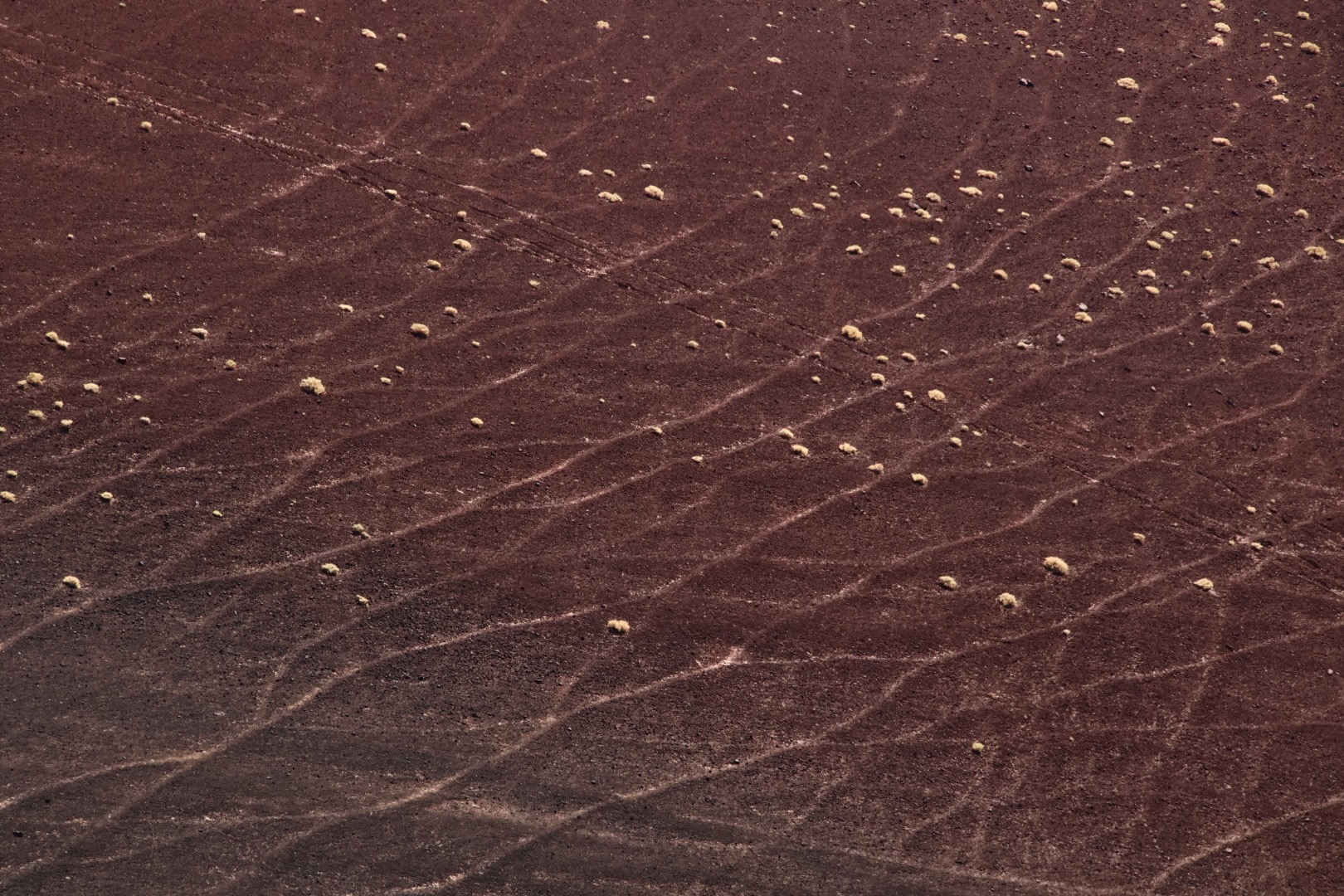 Puna Landscapes - Geometries and Cartographies